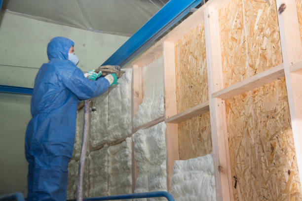 Best Local Insulation Services  in Knik Fairview, AK